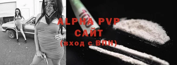 трава Пересвет