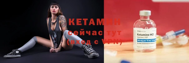 трава Пересвет