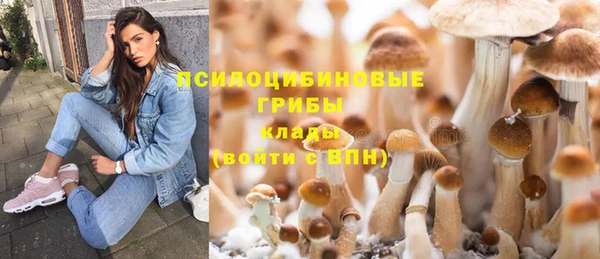 трава Пересвет
