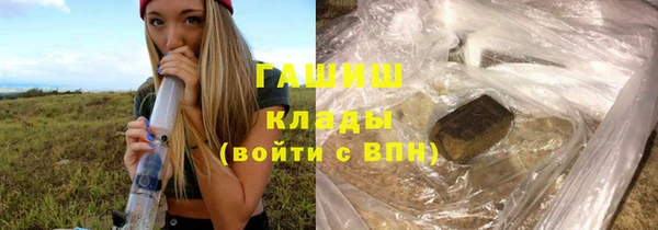 трава Пересвет