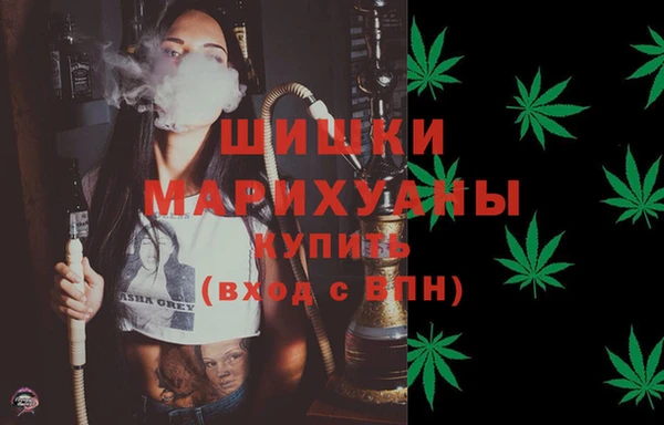 трава Пересвет