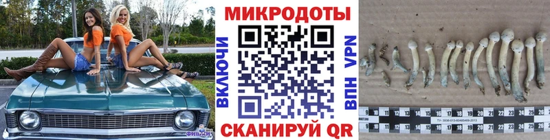 Галлюциногенные грибы Psilocybe  дарнет шоп  Шагонар 