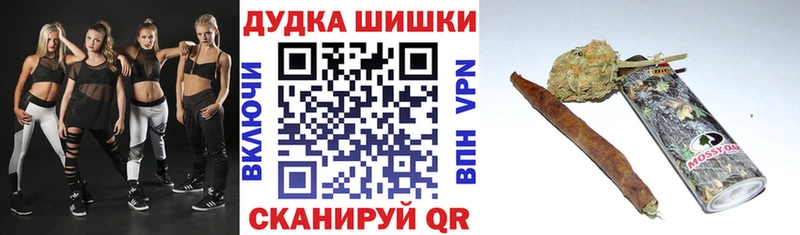 Бошки Шишки планчик  Шагонар 