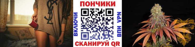 Канабис гибрид Шагонар